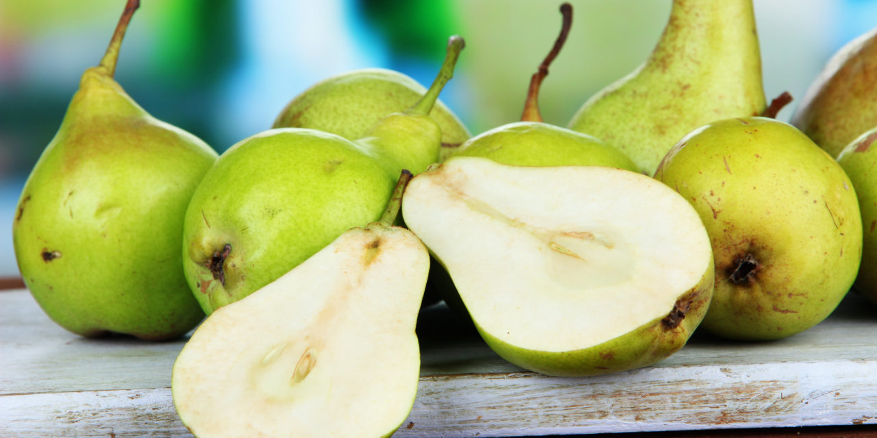 Canning Pears Part 1