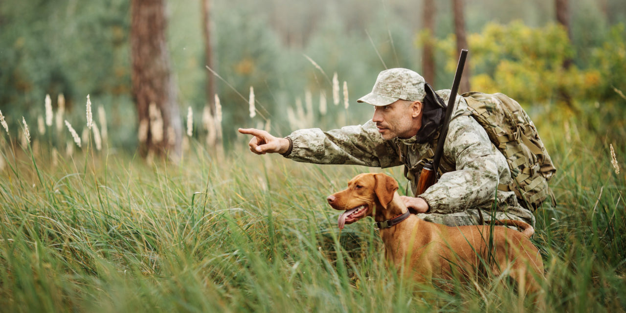 Picking Your Breeder