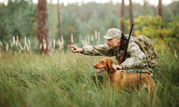 Picking Your Breeder