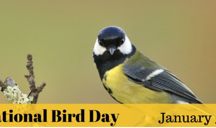 National Bird Day