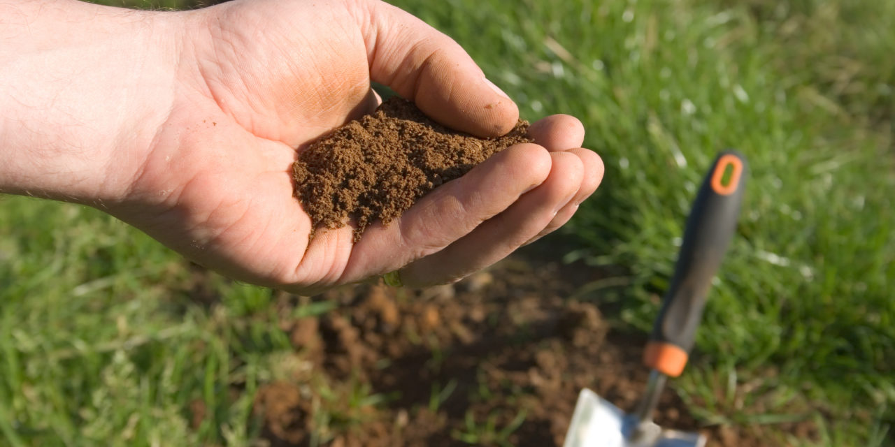 Soil Prep 101