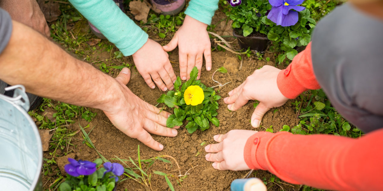 National Plant a Flower Day