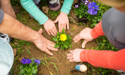 National Plant a Flower Day