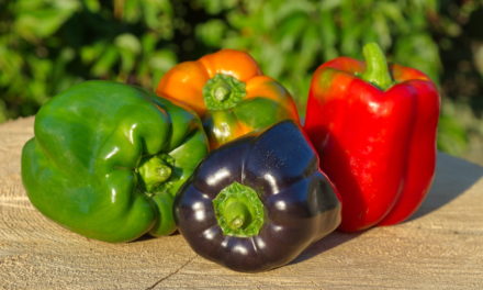 Time to Pick a Peck of Peppers!