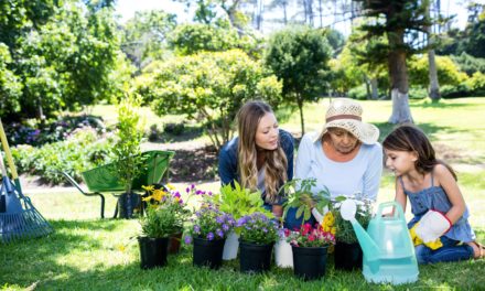 Lawn and Garden Month