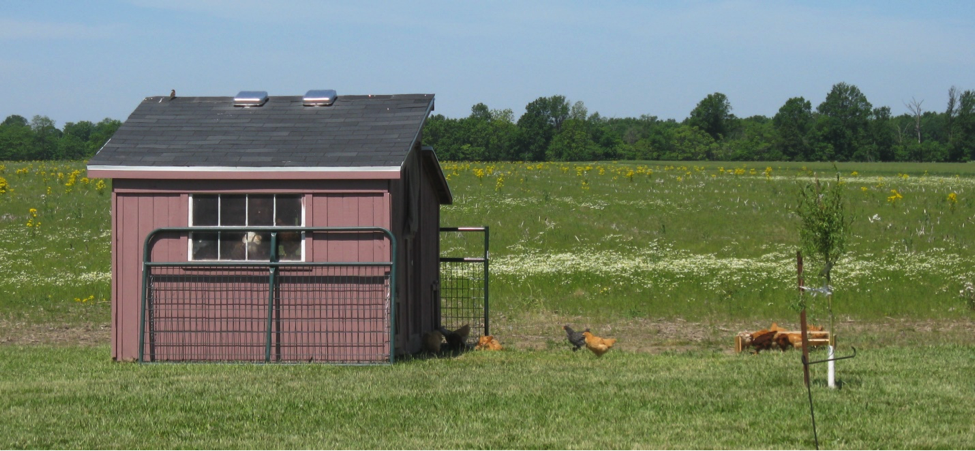 Common Homesteading Mistakes–Outbuildings