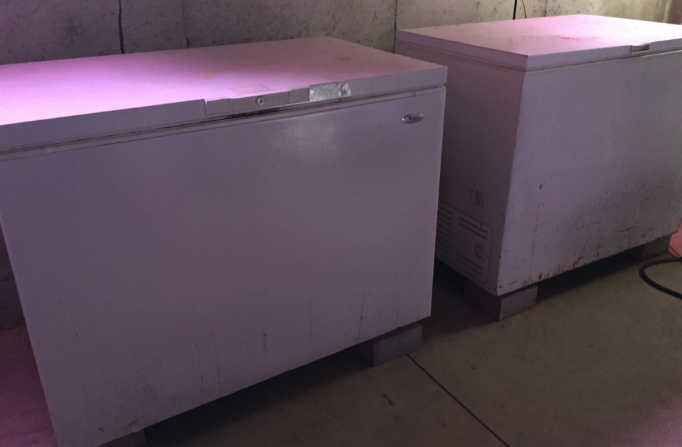Frost Free Freezers Part 2