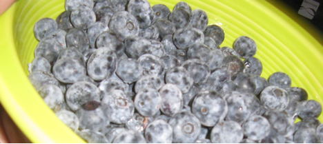 Dehydrating Blueberries