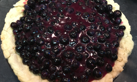 Best Blueberry Pie