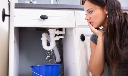 3 Common Indoor Plumbing Issues