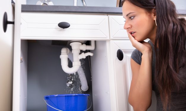 3 Common Indoor Plumbing Issues