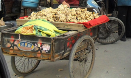 Homegrown Garlic: Whole Foods