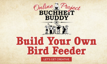 Build Your Own Bird Feeder